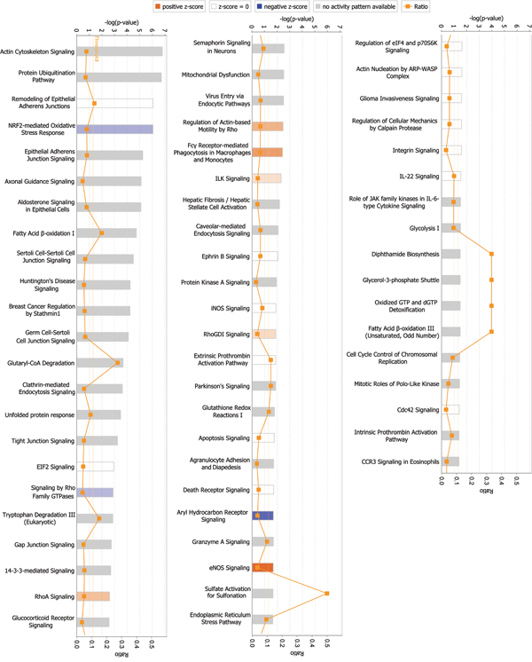 Signaling pathways associated with differentially expressed global proteins.