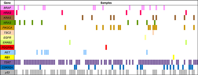 Mutations in genes that can be targeted by molecular drug therapy in 118 ATC primary tumour samples.