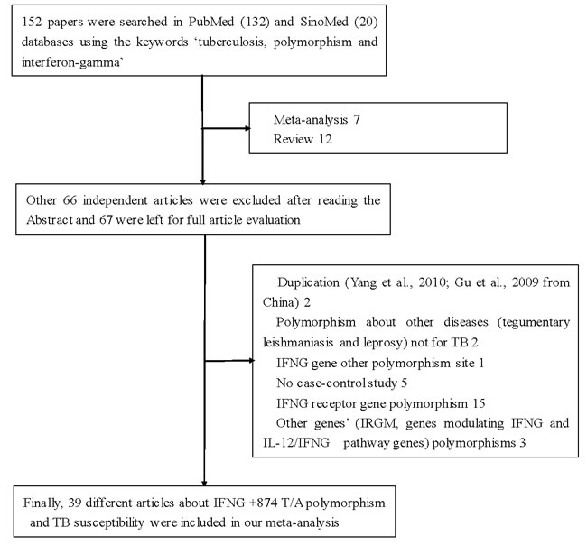 Flowchart illustrating the search strategy used to identify association studies for