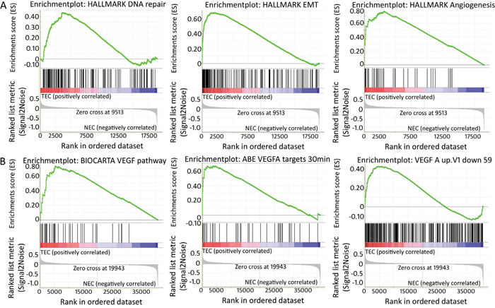 Enriched gene sets within TEC signature (GSEA).