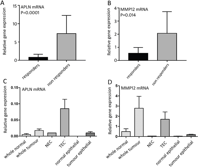 mRNA expression of bvz response-predicting genes.