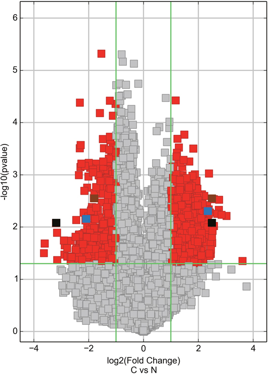 Volcano plot visualizing the differential expression of circRNAs between breast cancer and adjacent normal-appearing tissues.