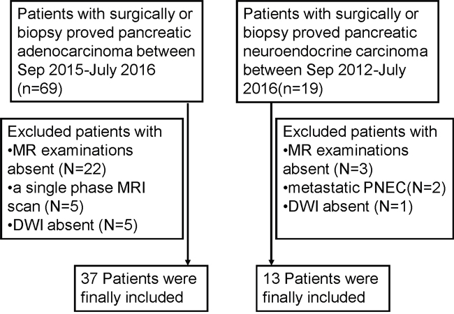 Flow diagram of the study patients with pancreatic ductal adenocarcinoma (PDAC) and pancreatic neuroendocrine carcinoma (PNEC).