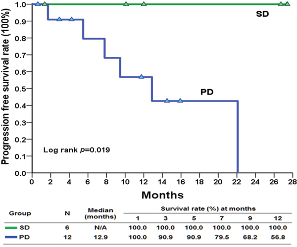 Kaplan&#x2013;Meier plot of progression free survival in patients with gastrointestinal stromal tumor with exon 17 mutations who had stable disease and progressive disease at enrollment treated with regorafenib.