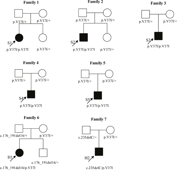 Pedigree analyses for seven unrelated families carrying the p.V37I variant.