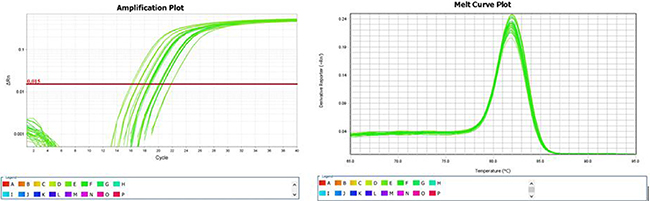 Amplification and melting curves of hsa-miR-195-5p.