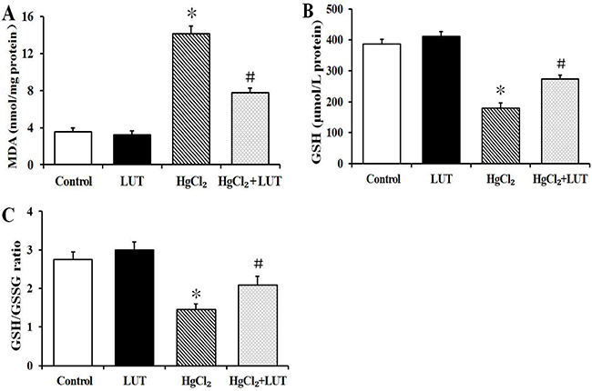 Effects of luteolin given to rats prior to HgCl2 administration on concentration of MDA and GSH in liver tissue.