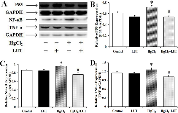 Figure 9: