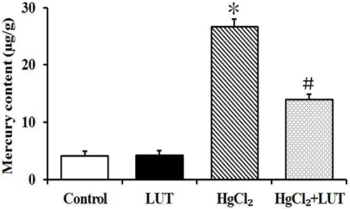 Mercury content analysis was done in the liver and mercury exposed rats as described in materials and methods.