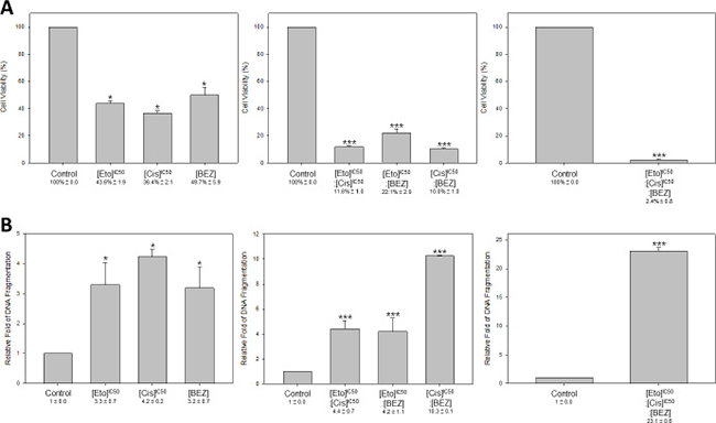 Triple-drug combination of etoposide, cisplatin and BEZ235 resulted in more effective cell inhibition and DNA damage in HM-1.