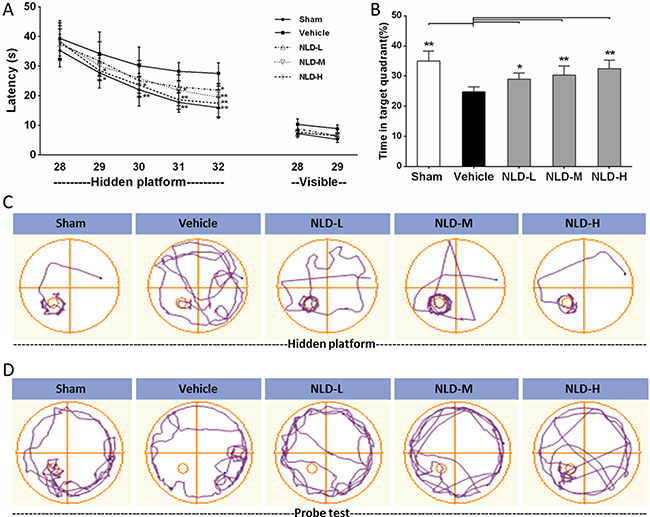 Effect of NLD on cognitive outcomes in A&#x03B2;1-42-infused rat model.