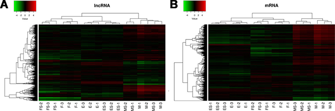 Figure 2: