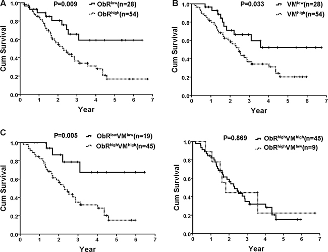 Kaplan&#x2013;Meier statistical analysis showed prognostic significance of ObR expression and VM formation in human glioblastoma.