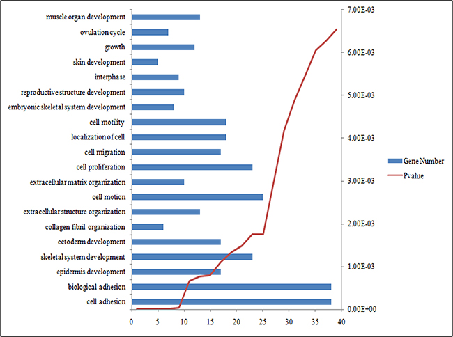 The top 20 most significantly enriched GO terms of DEGs according P value.