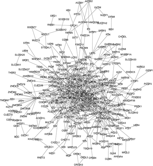 PPI network of DEGs obtained from the STRING database.