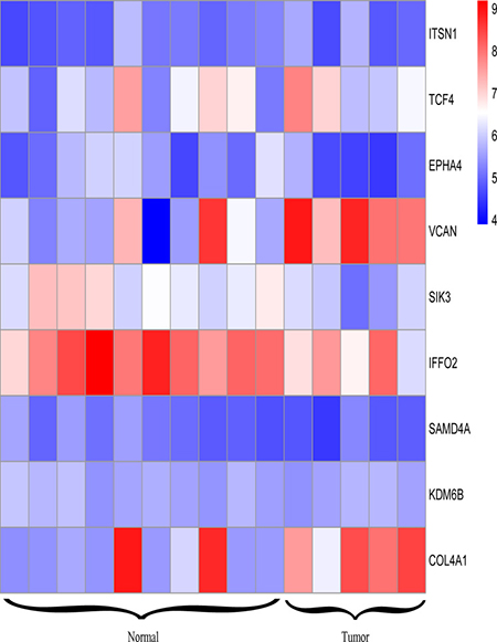 Heatmap of genes that have at least 3 neighbors in PPI network as well as miRNA-gene regulation network.