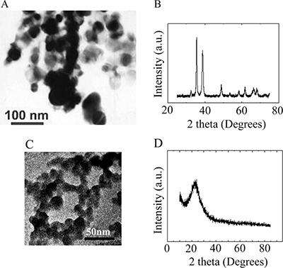 Characterization of CuO and SiO2 NPs.