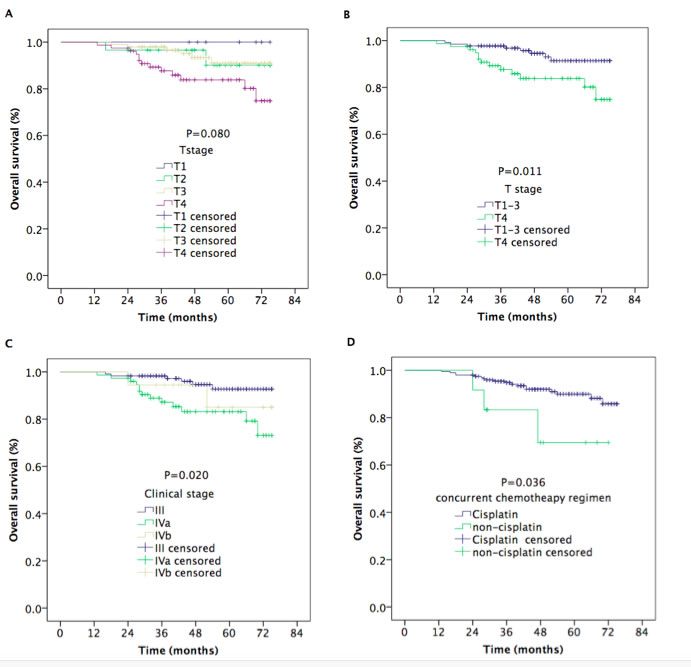 Kaplan–Meier estimates of the overall survival in nasopharyngeal carcinoma patients for different variable.
