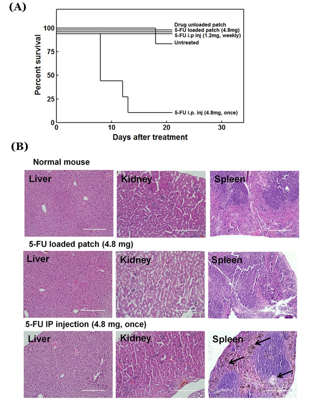 Figure 6: