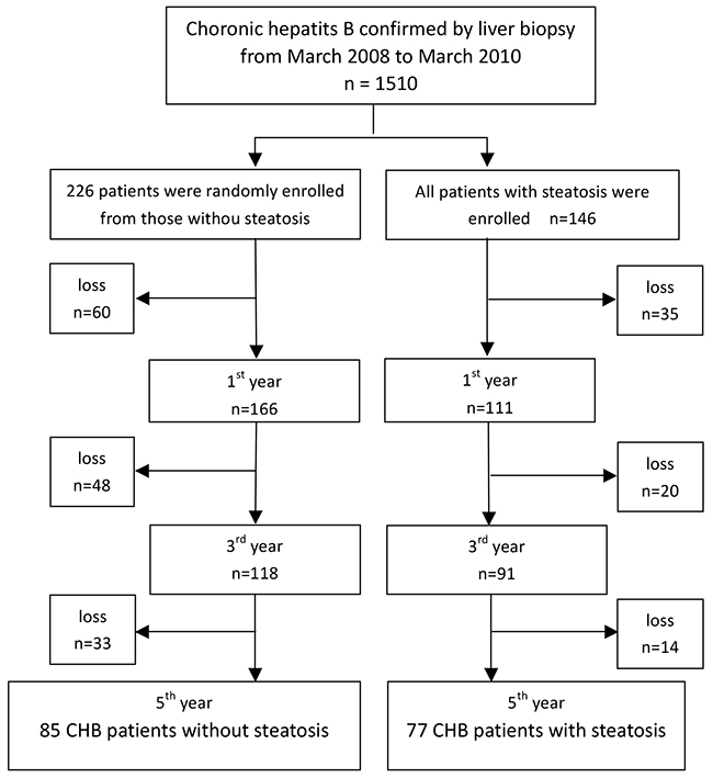 Flow chart of enrolment of chronic hepatitis B patients with or without steatosis.