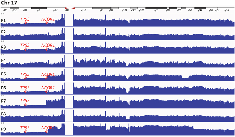 Integrative genomics viewer (IGV) visualization of alignments and coverage of the Illumina reads from the whole genome sequence analysis of 9 SS patients for chromosome 17.