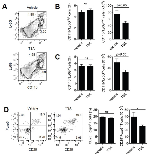 TSA treatment could attenuate the tumor-suppressive microenvironment.