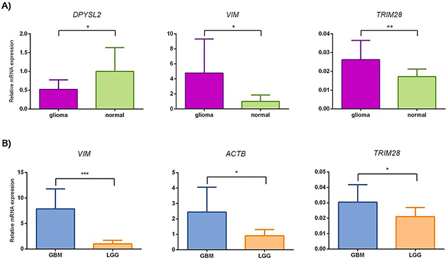 Small scale confirmatory study of relative mRNA expression levels for DPYSL2, VIM, TRIM28 and ACTB.