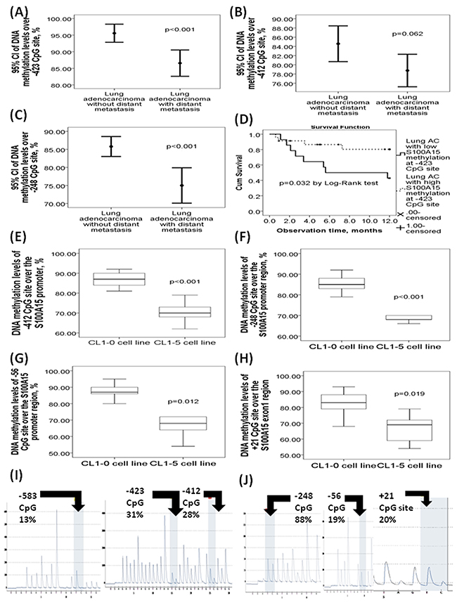 DNA methylation levels of the six CpG sites in the S100A15 gene promoter and exon 1 regions with respect to the clinical lung adenocarcinoma (AC) specimens and lung cancer cell lines.
