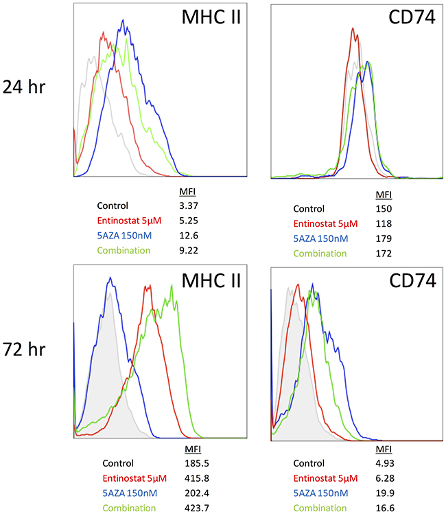 MHC II and CD74 protein expression on ID8 cells after combination treatment with entinostat and azacytidine.