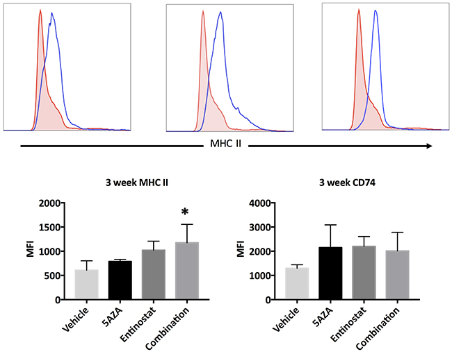 Expression of MHC II and CD74 proteins in ovarian tumors of MISIIR-Tag mice after 3 weeks of treatment.