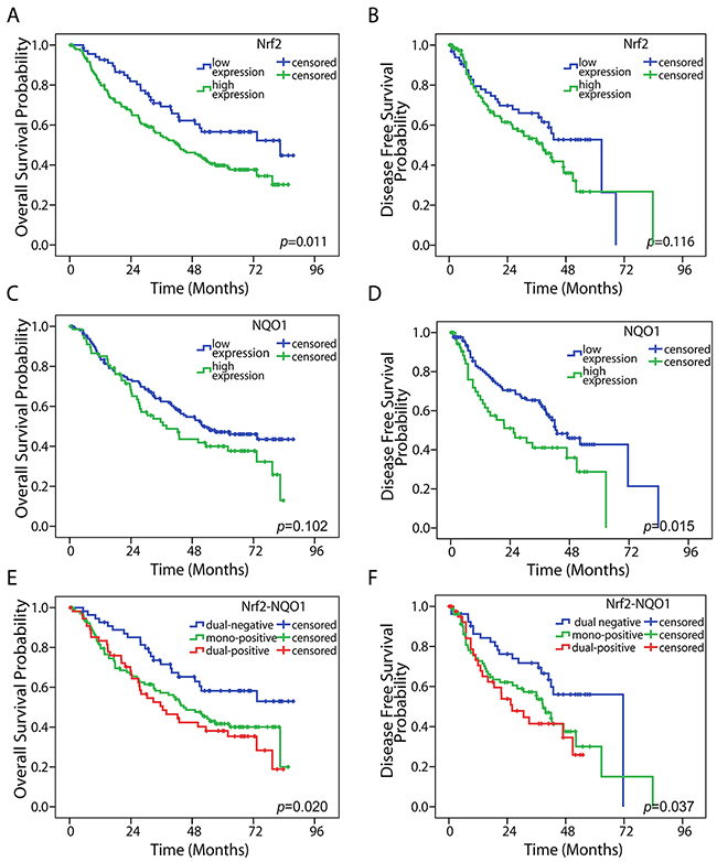 Kaplan-Meier survival analysis.