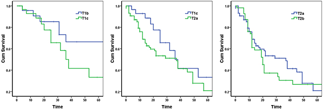 Survival curves according to two neighboring T stages in stage IIB lung cancer patients.