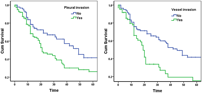 Survival curves according to pleural invasion and vessel invasion in stage IIB lung cancer patients.