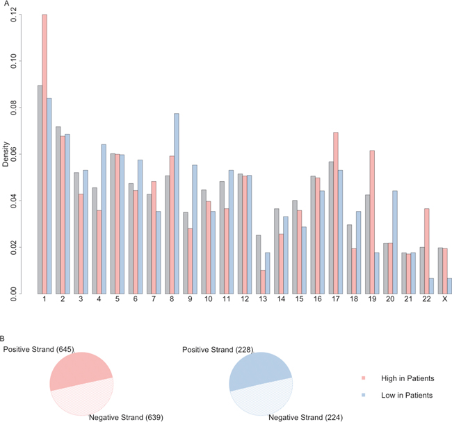 The distribution of differentially expressed lncRNAs on chromosome and strand.