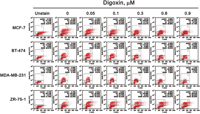 Potential effects of digoxin on the cell cycle profile of various breast cancer cells.