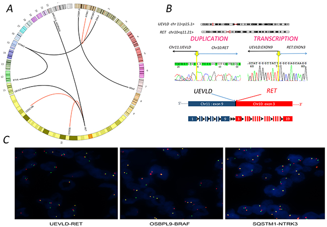 Gene fusions identified from papillary thyroid carcinoma (PTC) cases.