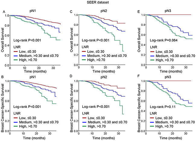 Kaplan-Meier cumulative survival curves generated from the SEER dataset for different lymph node ratios (LNRs) according to different pN stages.