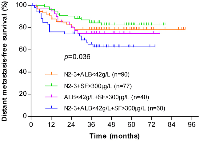 Kaplan-Meier analysis of the distant metastasis-free survival (DMFS) for NPC patients in the high-risk (n&#x003D;267) group stratified by combinations of different risk factors.