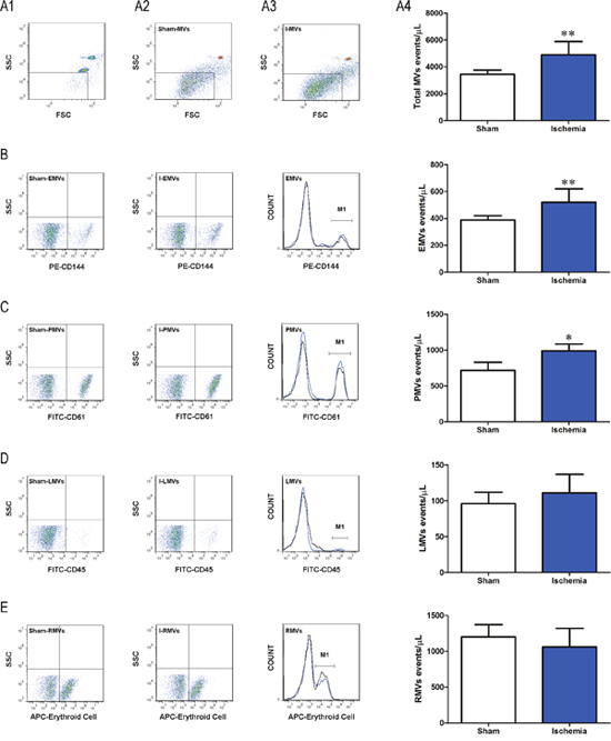 Characterization of I-MVs by flow cytometry.