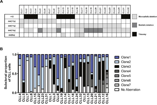 Multiplexed-FISH reveals cytogenetic subclonal heterogeneity in CLL.
