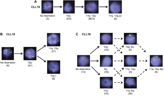 Multiplexed-FISH resolves both branching and linear evolution in CLL.