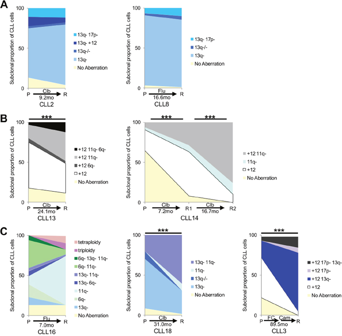 Multiplexed-FISH reveals differential subclonal responses to therapy in CLL.