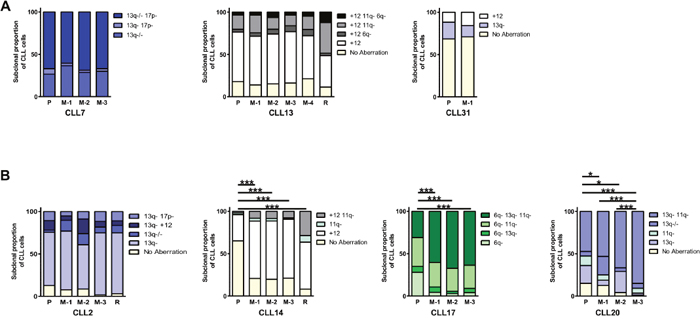 Recapitulation of patient cytogenetic profiles in CLL PDX models.