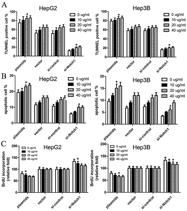 Cisplatin facilitates Notch1-induced cell apoptosis of HepG2 and Hep3B cells.