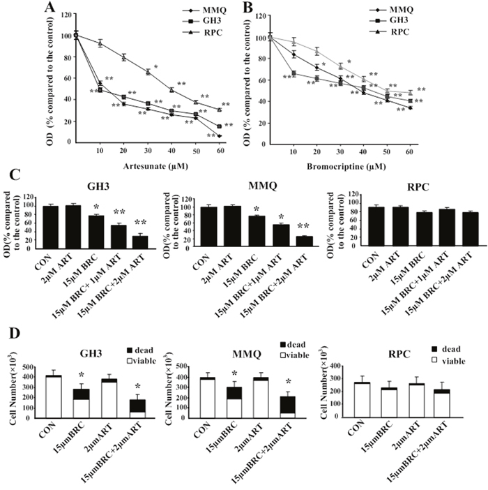 Artesunate (ART) and bromocriptine (BRC) synergized to inhibit pituitary adenoma proliferation and induce cell death.