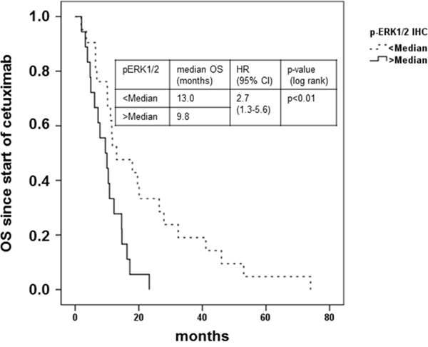 Clinical outcome of patients with metastatic colorectal cancer treated with cetuximab in combination with irinotecan in relation to pERK1/2T202/Y204 expression.