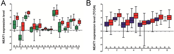 The expression level of NEAT1 analyzed by cancer public database.