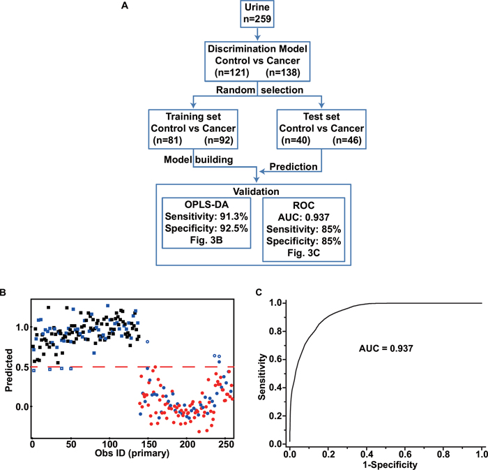 Figure 3. Cross-validation with an OPLS-DA model and multivariate ROC analysis.