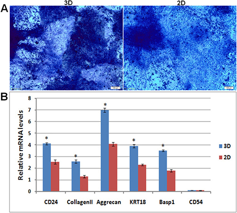 Differentiation analysis of iPSCs in hydrogel.