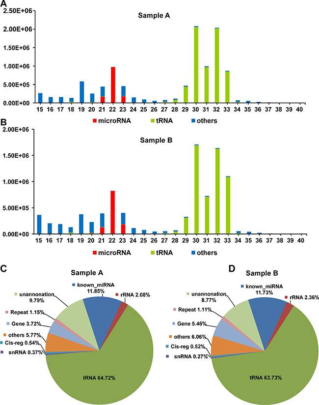 The length distribution and frequency of annotated reads.